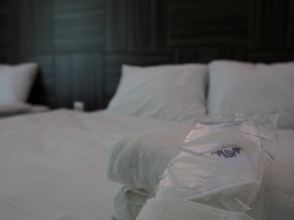 Dağ Manzaralı Standart Oda