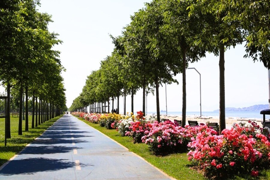 İstanbulun Bahar Rüyası En Güzel Çiçek Bahçeleri ve Parkları