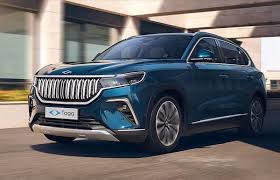 Cepa’da Şansa Yol Açın