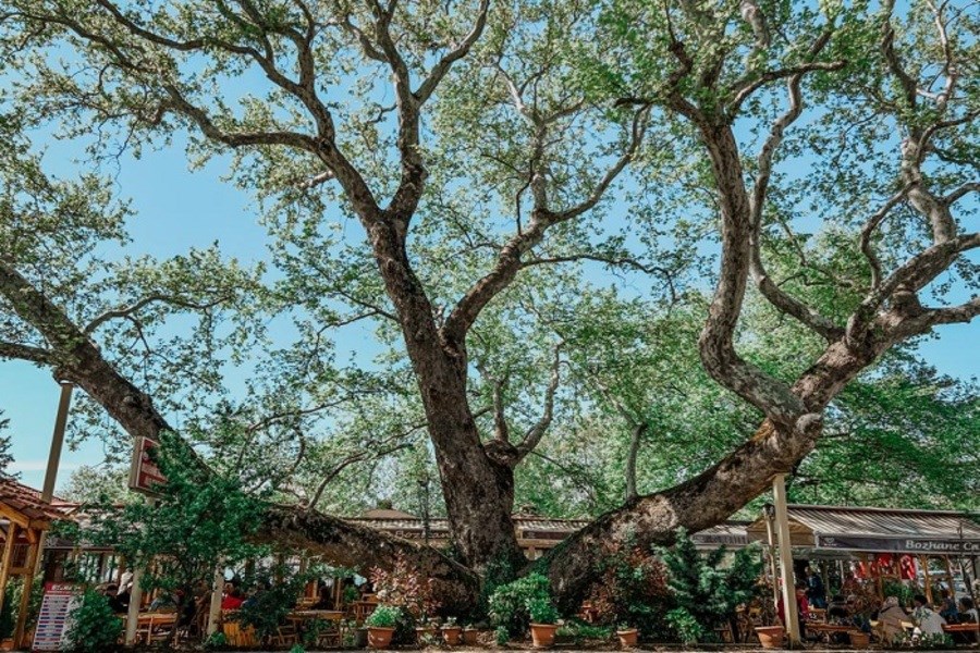 Karadeniz Ereğlide Gezilecek Yerler Mitolojiden Doğaya
