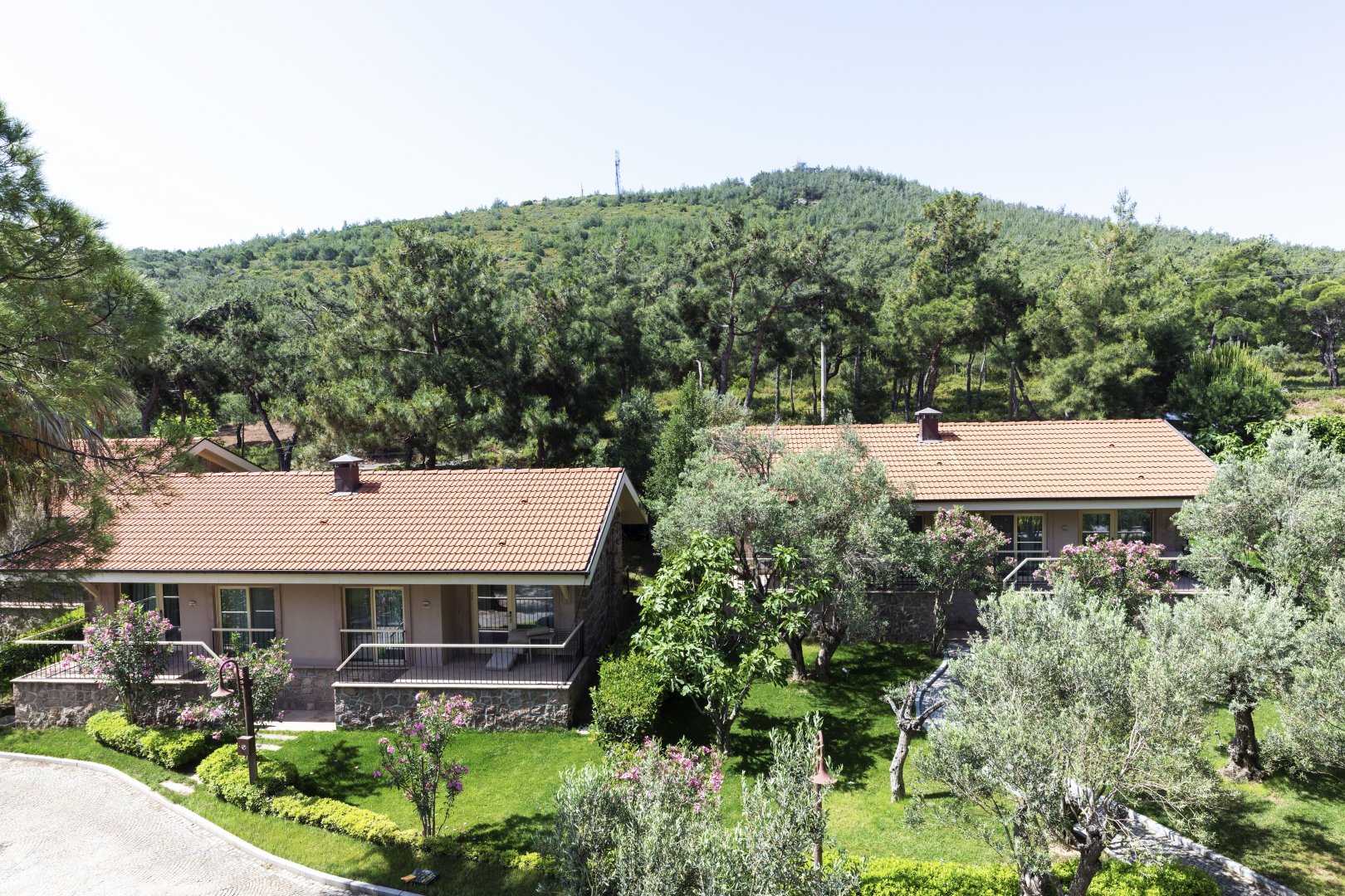 SUPERIOR FOREST VIEW ROOM