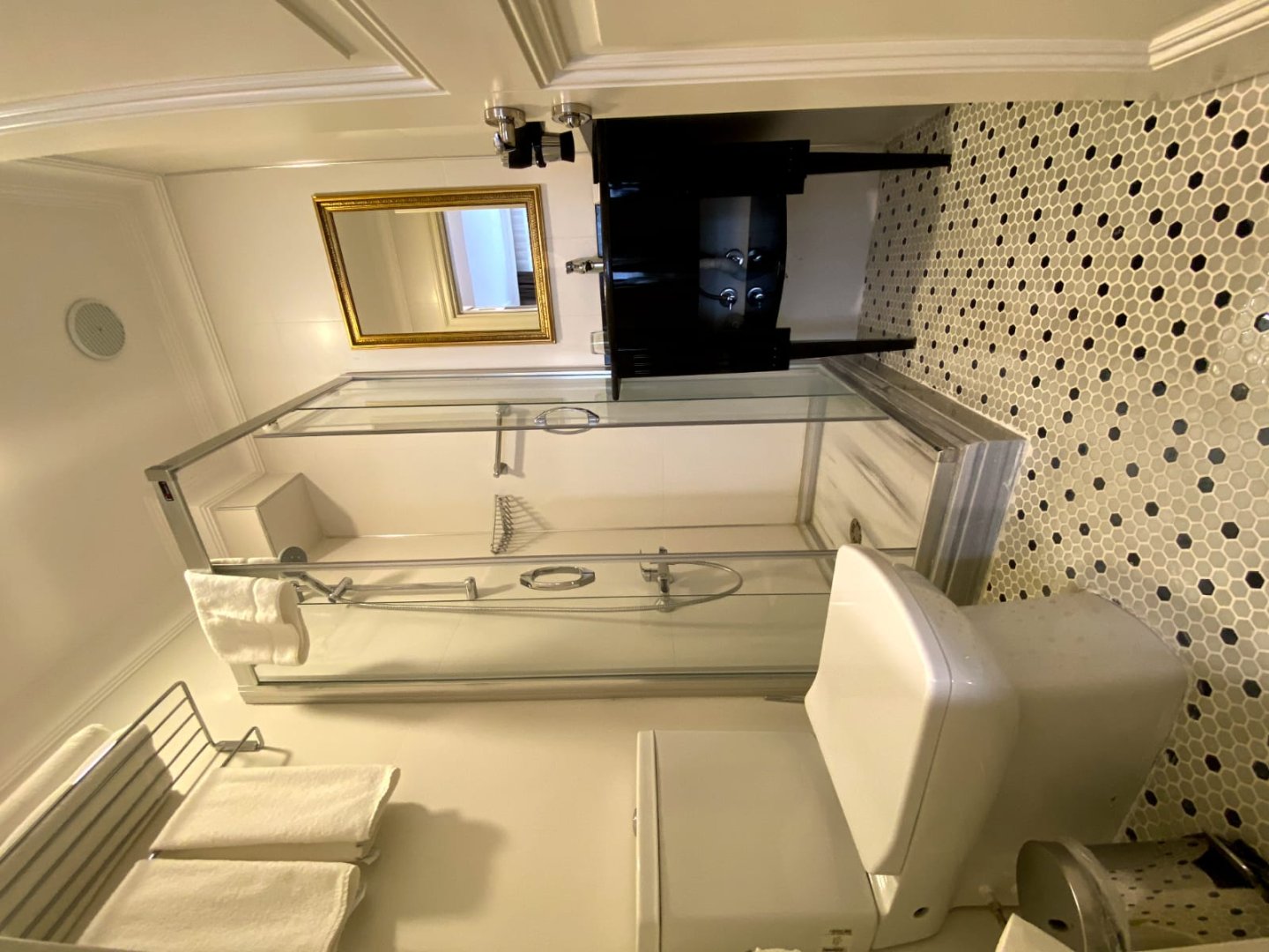 Family Studio (no.16)