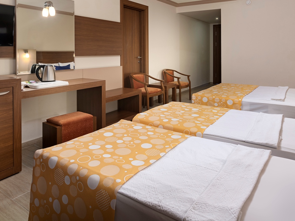 STANDARD ROOM LAND VIEW