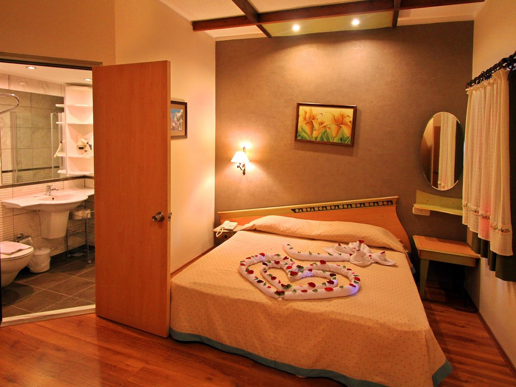 STANDARD ROOM FRENCH BALCONY 