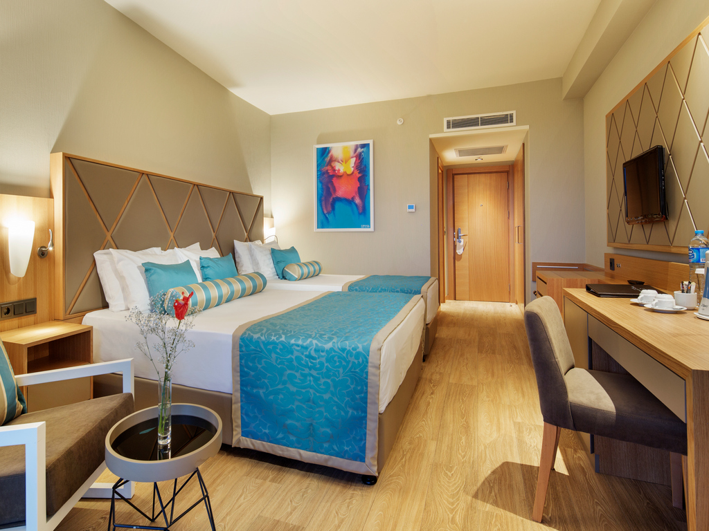 Standard Room Mountain View