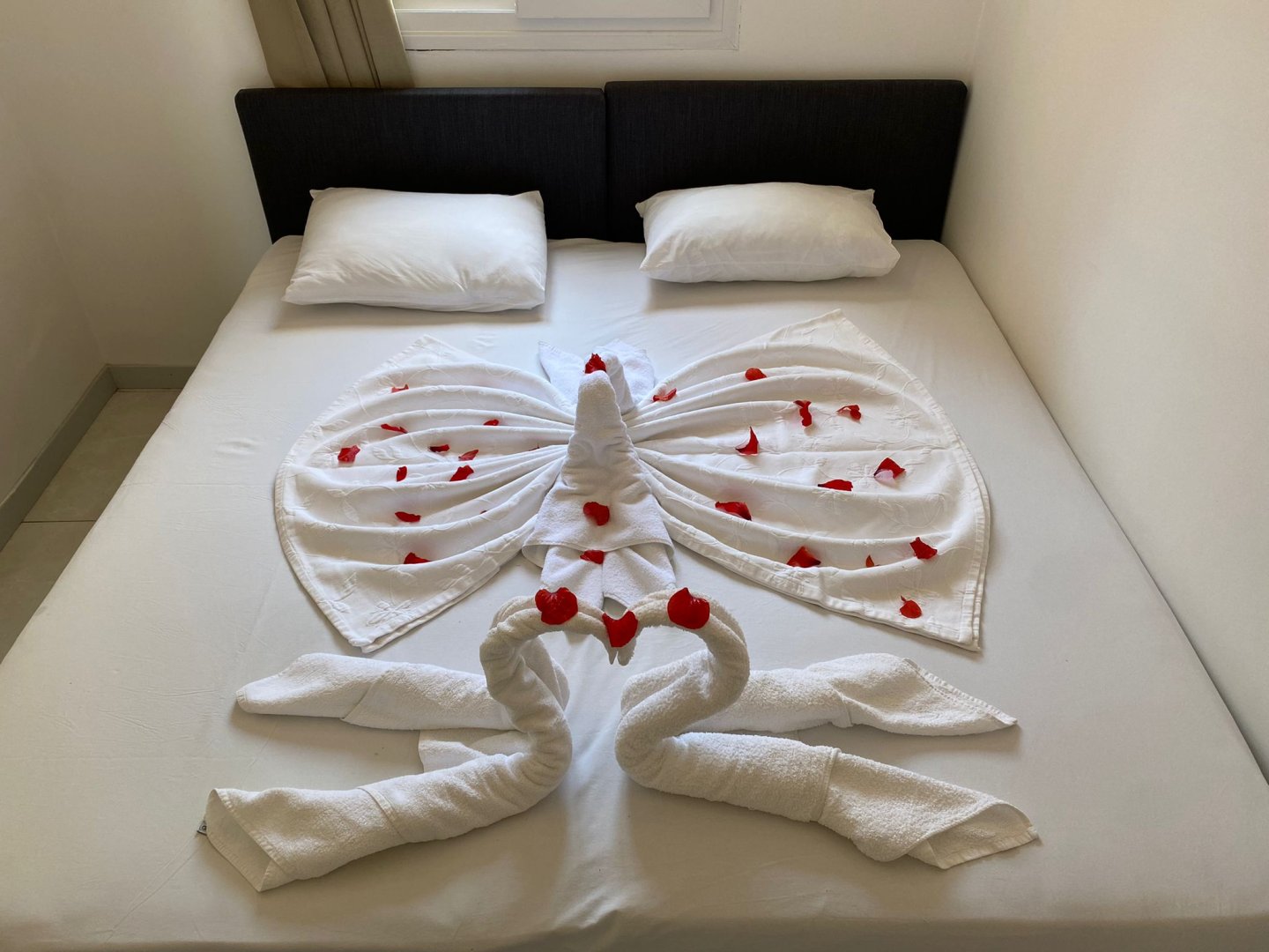 STANDART KARA MANZARALI ODA