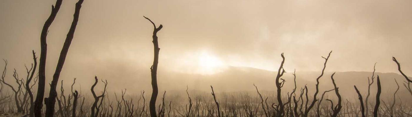 10 bilet alana 11 . bilet hediye